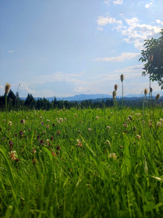 Außenansicht Ferienwohnungen Ofenmacherhof