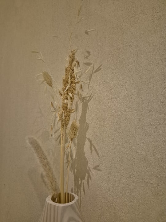 Sonstiges SUNRISE Anjum Resort Marsa Alam