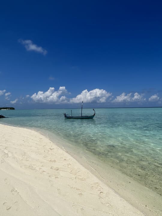 Strand Summer Island Maldives