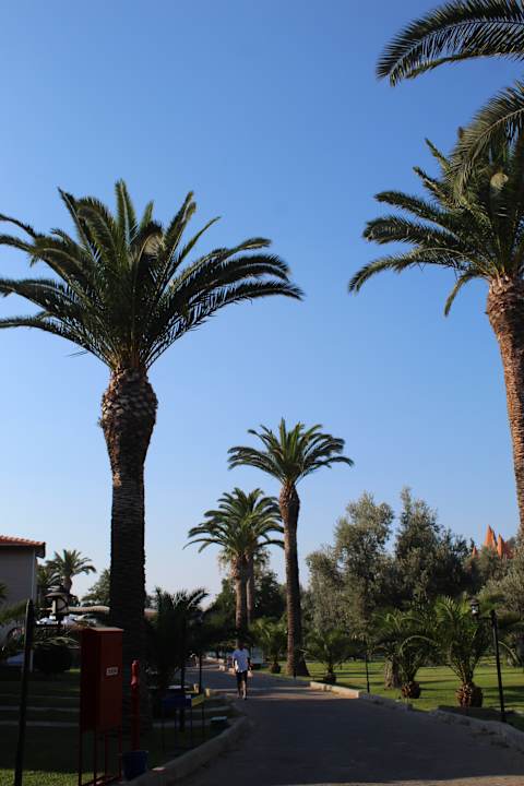 Gartenanlage Club Resort Atlantis