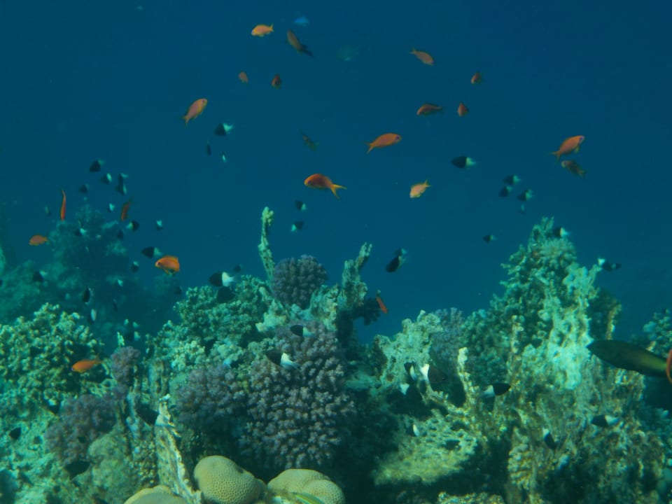 Strand SUNRISE Cardina Resort