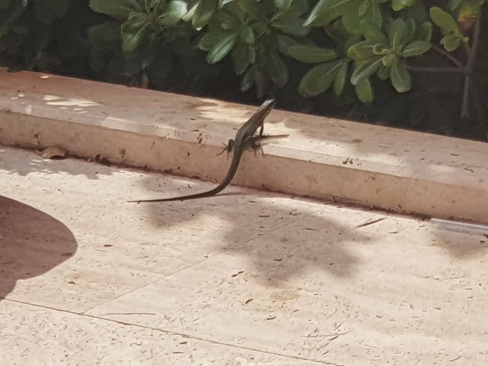 Sonstiges VONRESORT Golden Coast