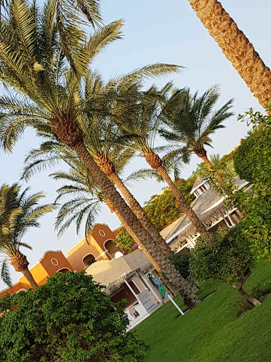 Gartenanlage Sentido Caribbean World Soma Bay
