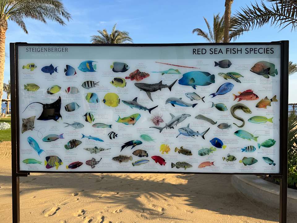 Strand Steigenberger Coraya Beach - Adults only