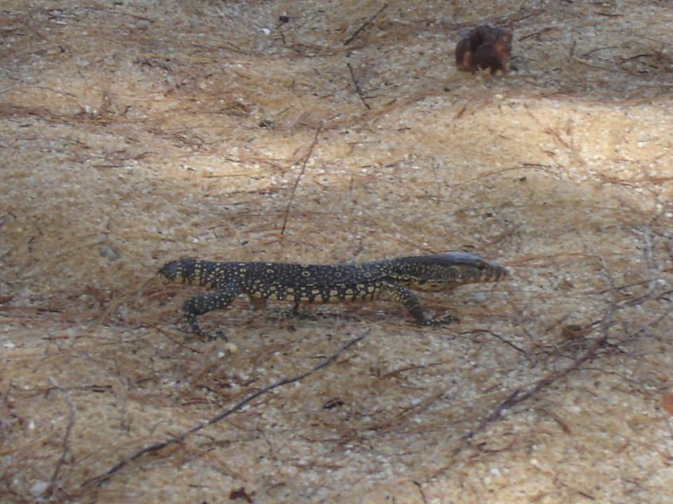 Besucher am Strand The Briza Beach Resort Khaolak