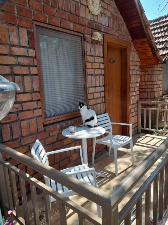 Zimmer Can Garden Beach