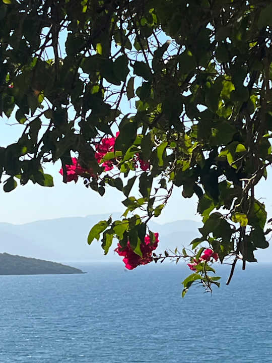 Ausblick La Blanche Island Bodrum