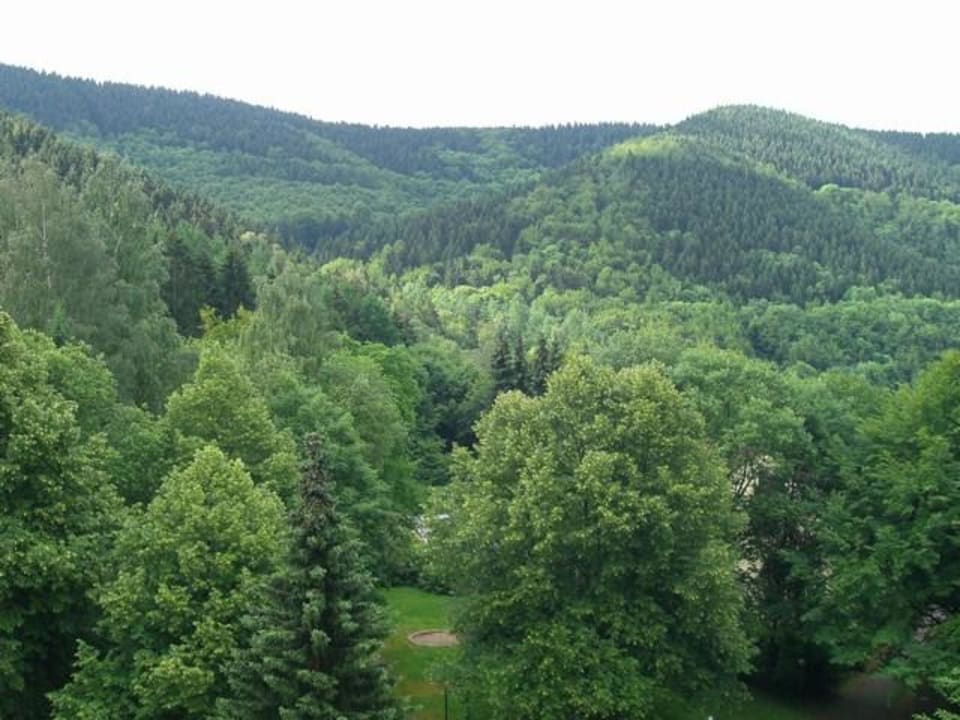 Blick von unserem Balkon Panoramic - Ihr Apartmenthotel im Harz