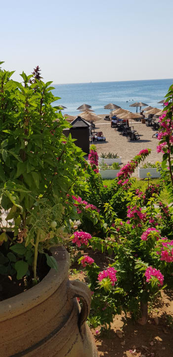 Ausblick Hotel Calypso Beach