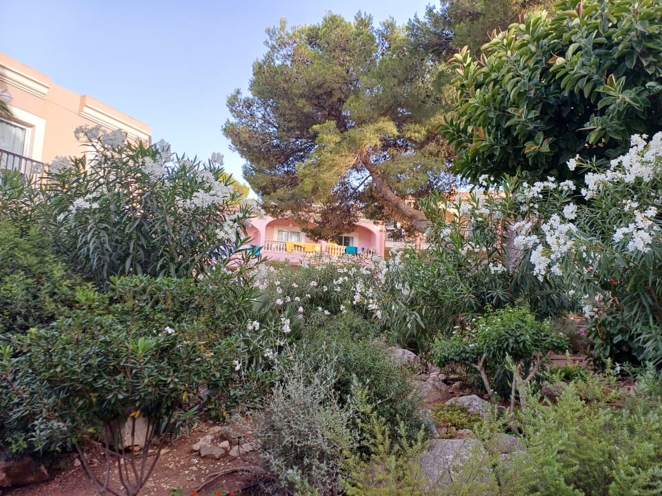 Gartenanlage R2 Lago Playa Park