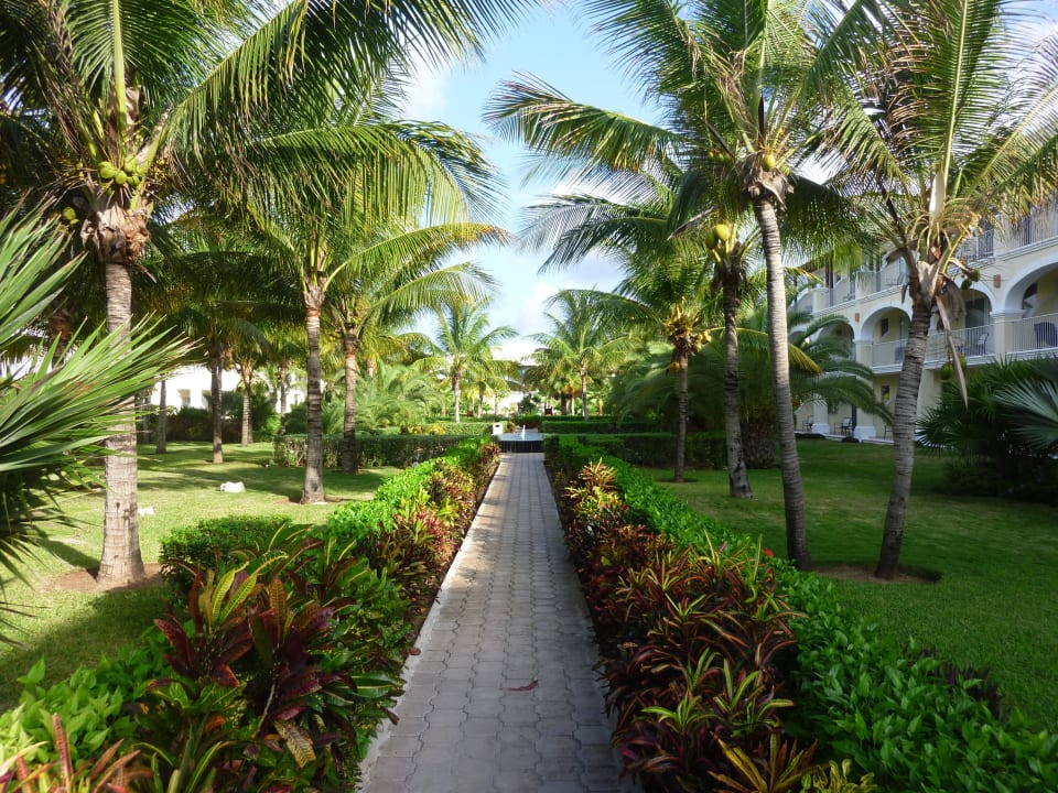 Schöne Anlage! Dreams Tulum Resort & Spa
