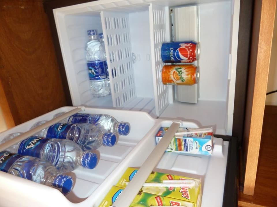 Minibar / Villa Fort Arabesque Resort, Spa & Villas