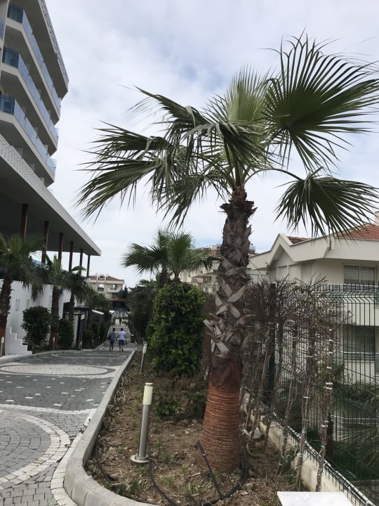 Garten Dream World Hill Hotel