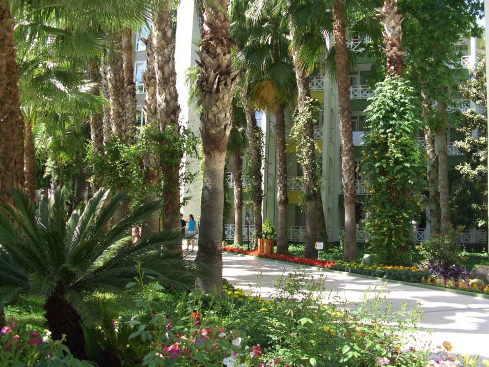 Schön im Schatten  Botanik Hotel & Resort