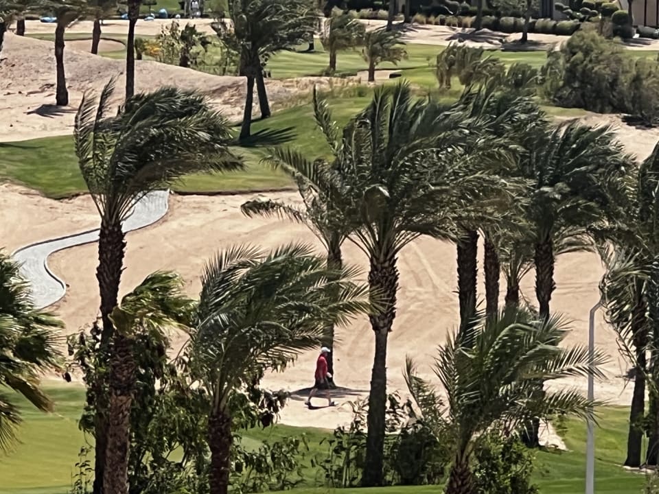 Gartenanlage Steigenberger Makadi Hotel - Adults only