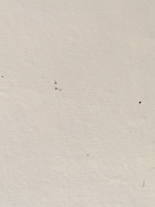 Zimmer Ferienhaus Mieke Bakker