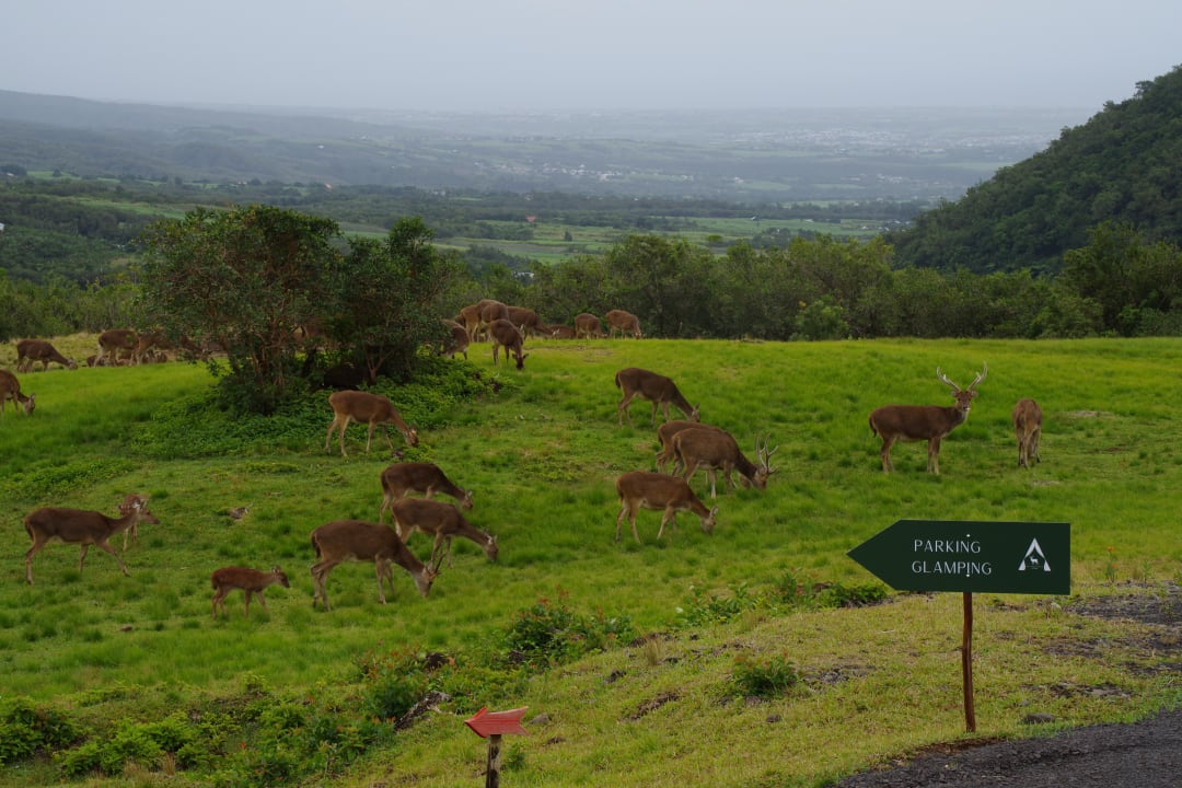 Außenansicht Diana Dea Lodge