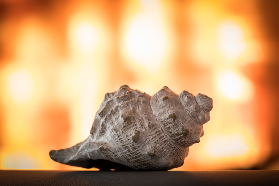 Sonstiges Suiten-Hotel mare Suiten Langeoog