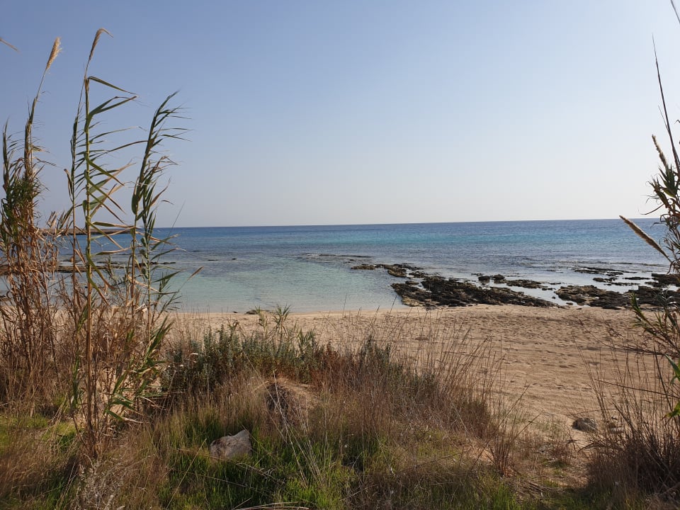 Strand Asterias Beach