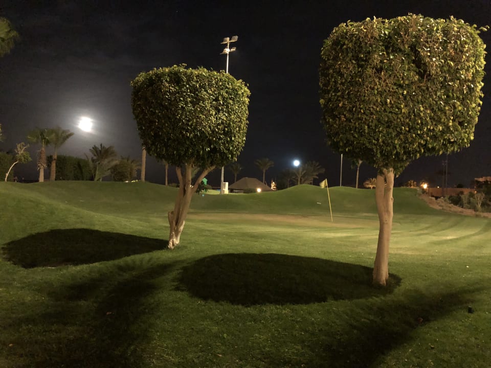 Gartenanlage Steigenberger ALDAU Beach Hotel