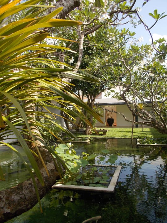 Innenhof Thaala Bentota