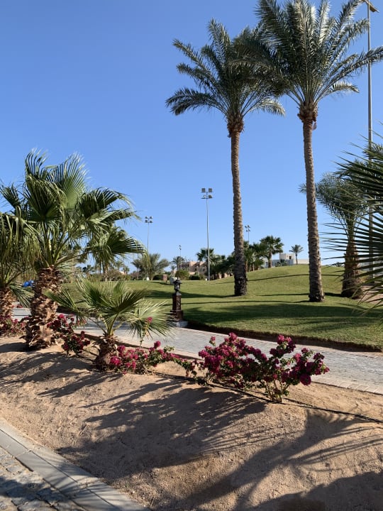 Gartenanlage Steigenberger Aqua Magic