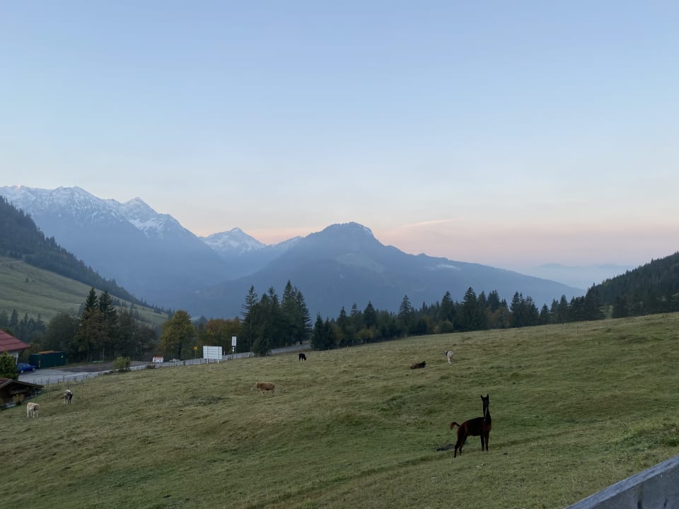 Ausblick Oberjoch - Familux Resort