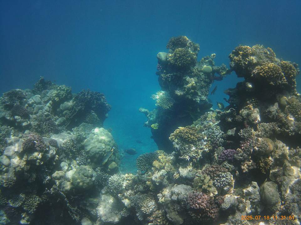 Strand Three Corners Sea Beach Resort