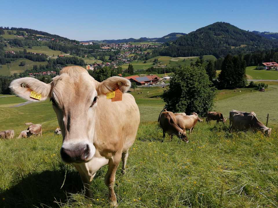 Ausblick Bauernhof Denz