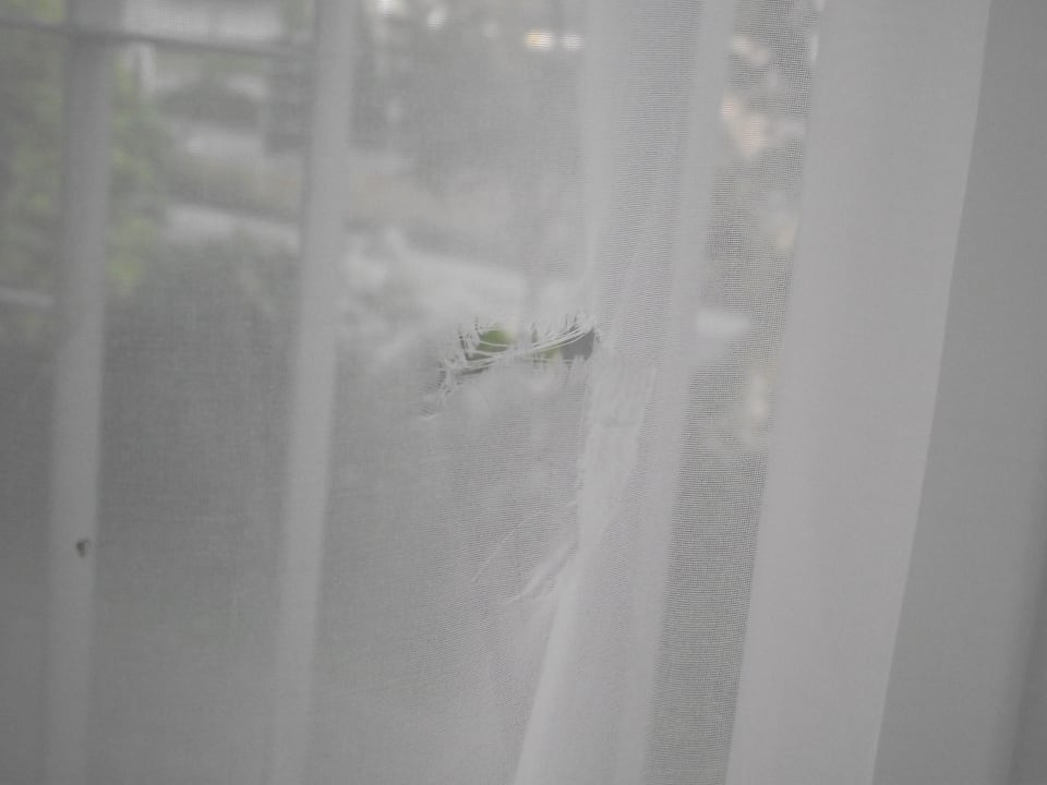 Loch in der Gardine H+ Hotel Köln Hürth