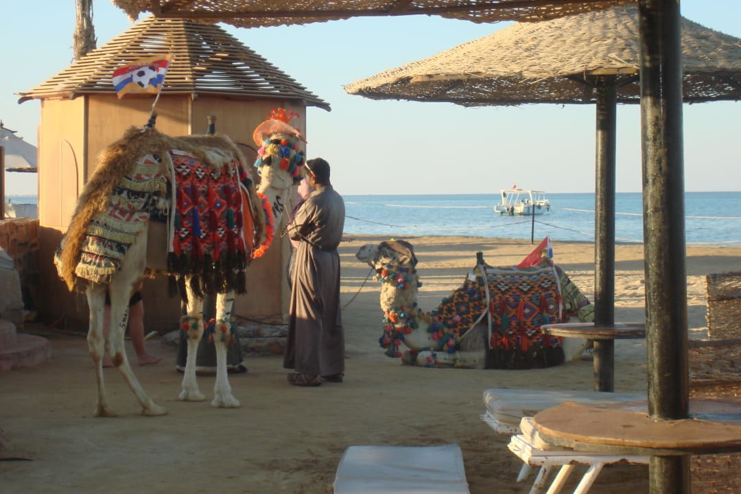 Мax Riviera Aqua Park Resort