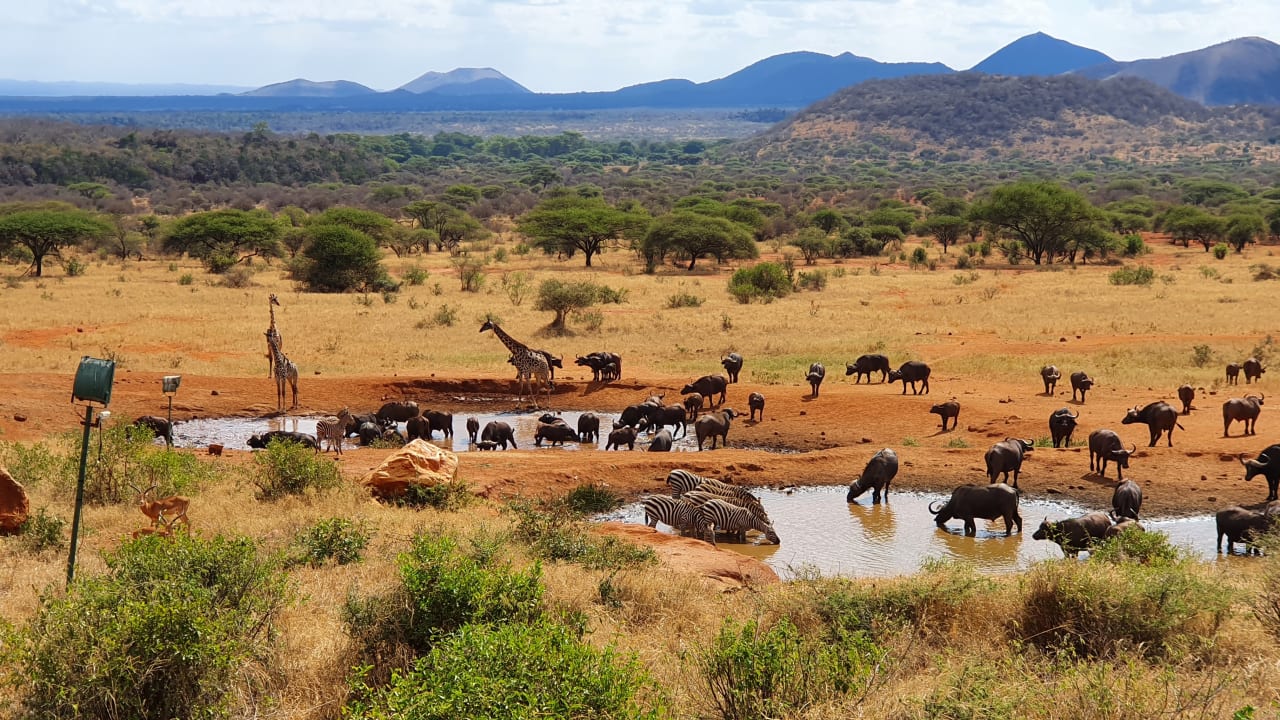 Ausblick Kilaguni Serena Safari Lodge
