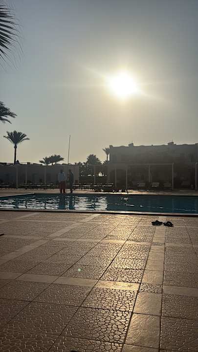 Pool JAZ Neo Reef Marsa