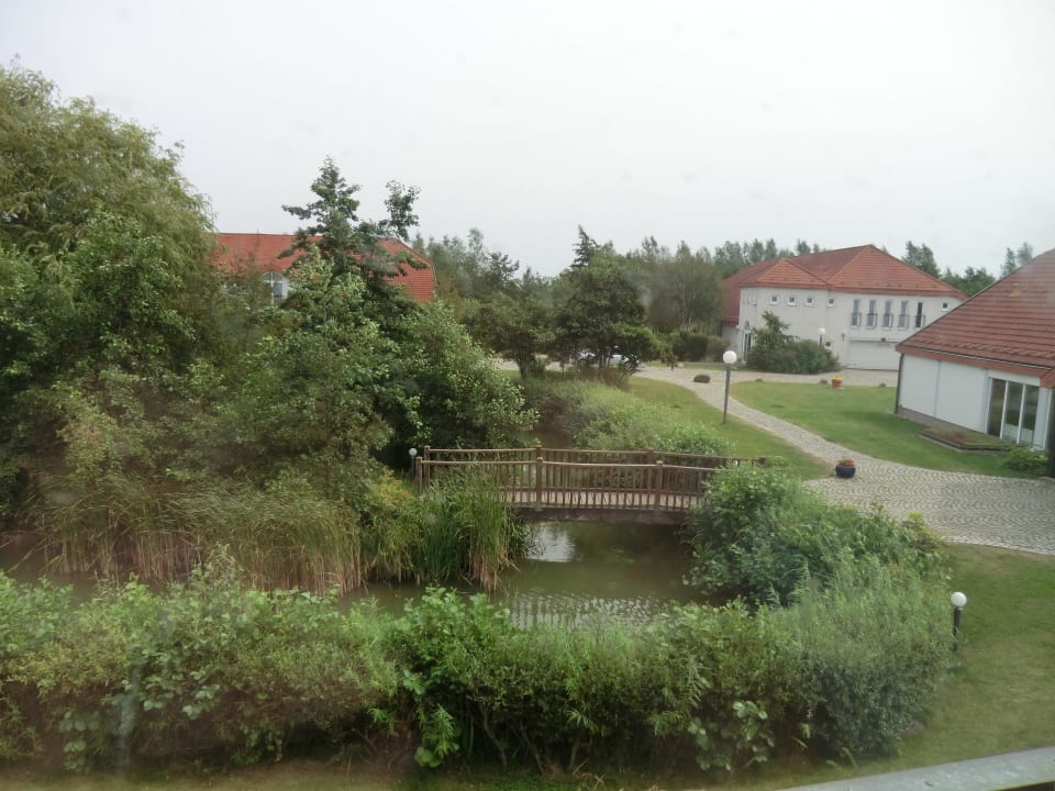 Ausblick von unserem Zimmer (432) AEDENLIFE Hotel & Resort Rügen