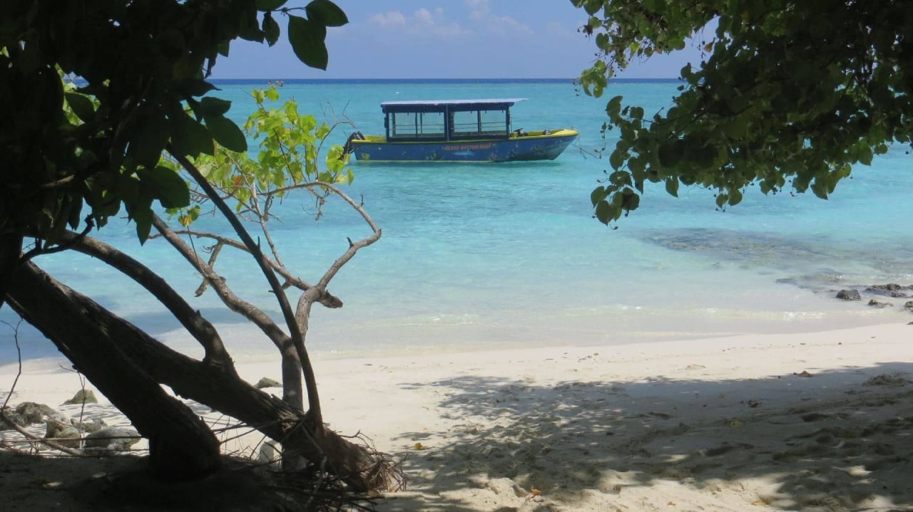 Hotel Fihalhohi Island Resort Fihalhohi Maldives