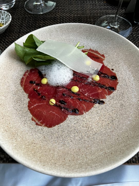 Gastro Acanthus Cennet Barut Collection