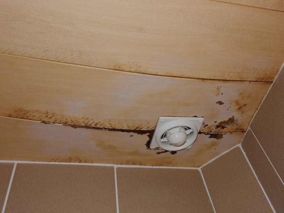 Decke im Bad - pfui.... Schlafmeile Traunsee