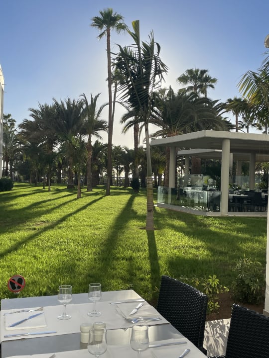 Gartenanlage Hotel Riu Gran Canaria