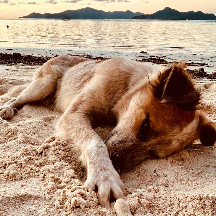 Strand Le Relax Self-Catering Apartments