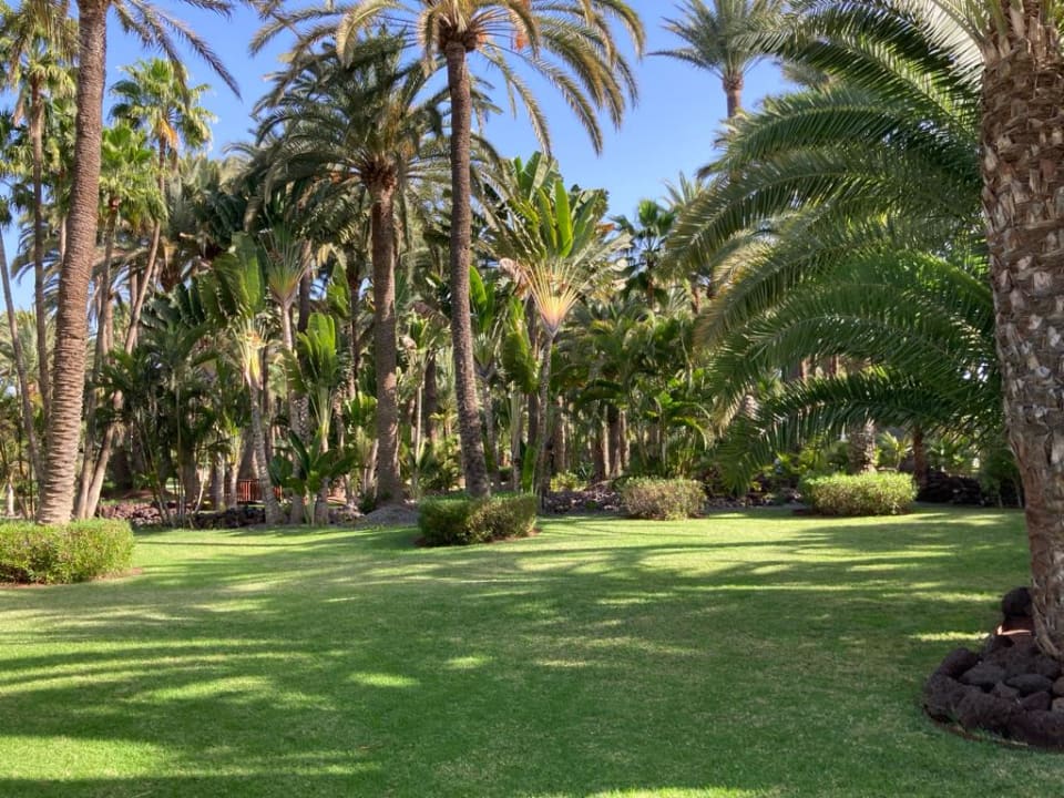 Außenansicht Hotel Riu Palace Oasis