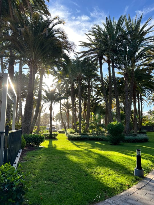 Gartenanlage Hotel Riu Palace Oasis