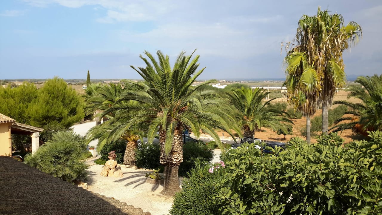 Blick Richtung Salinen Finca Ses Rotes Velles