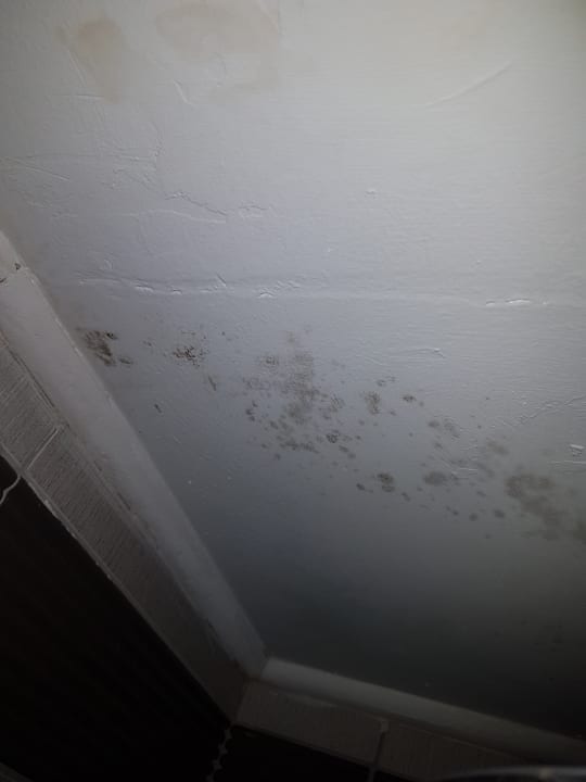 Zimmer Seaden Sea World Resort & Spa