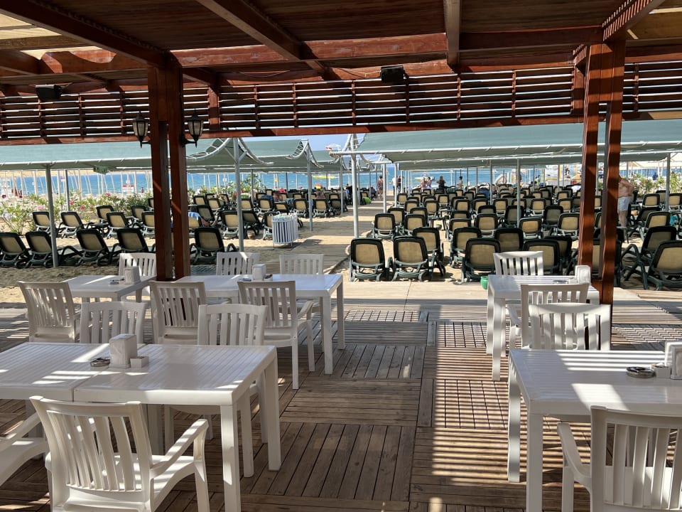 Gastro Well Palace Side