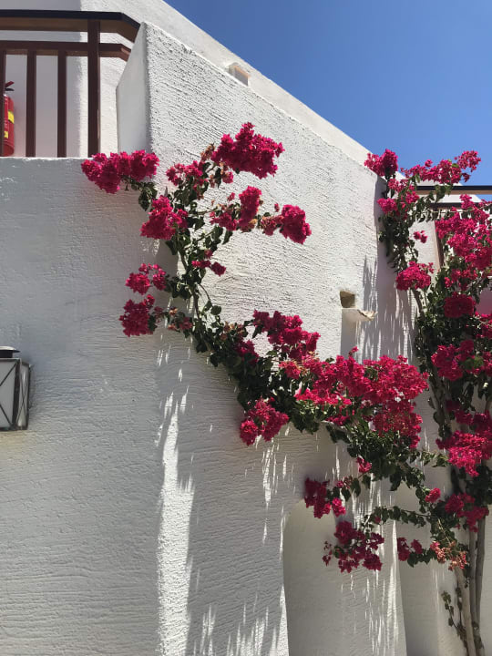 Gartenanlage Creta Maris Resort