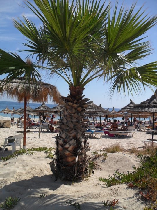  Strand Hotel El Mouradi Palm Marina