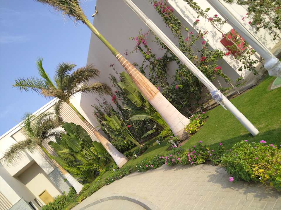 Sonstiges JAZ Elite Amara