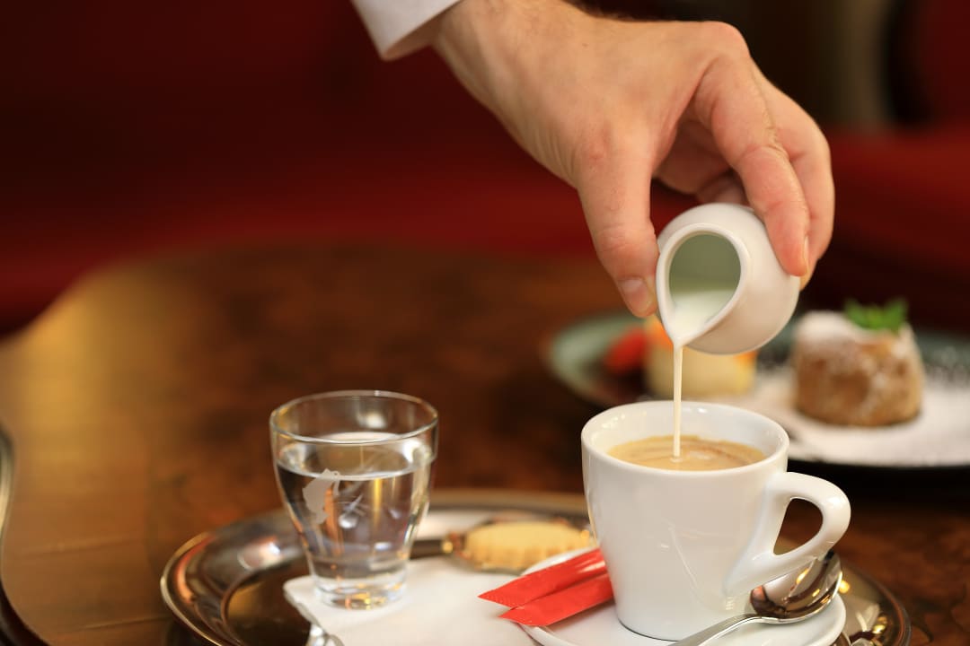 Gastro Hotel Bellevue Vienna