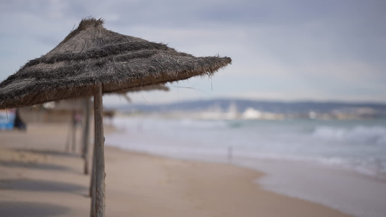 Gastro Royal Tulip Taj Sultan