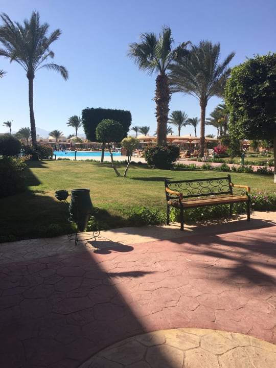 Gartenanlage Desert Rose